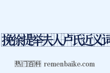 挽徐提举夫人卢氏近义词是什么意思的图片